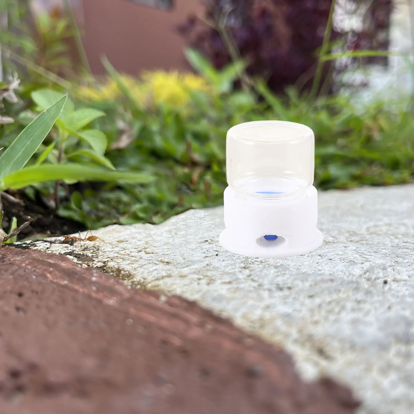 2Pcs Ant Feeder Wat…