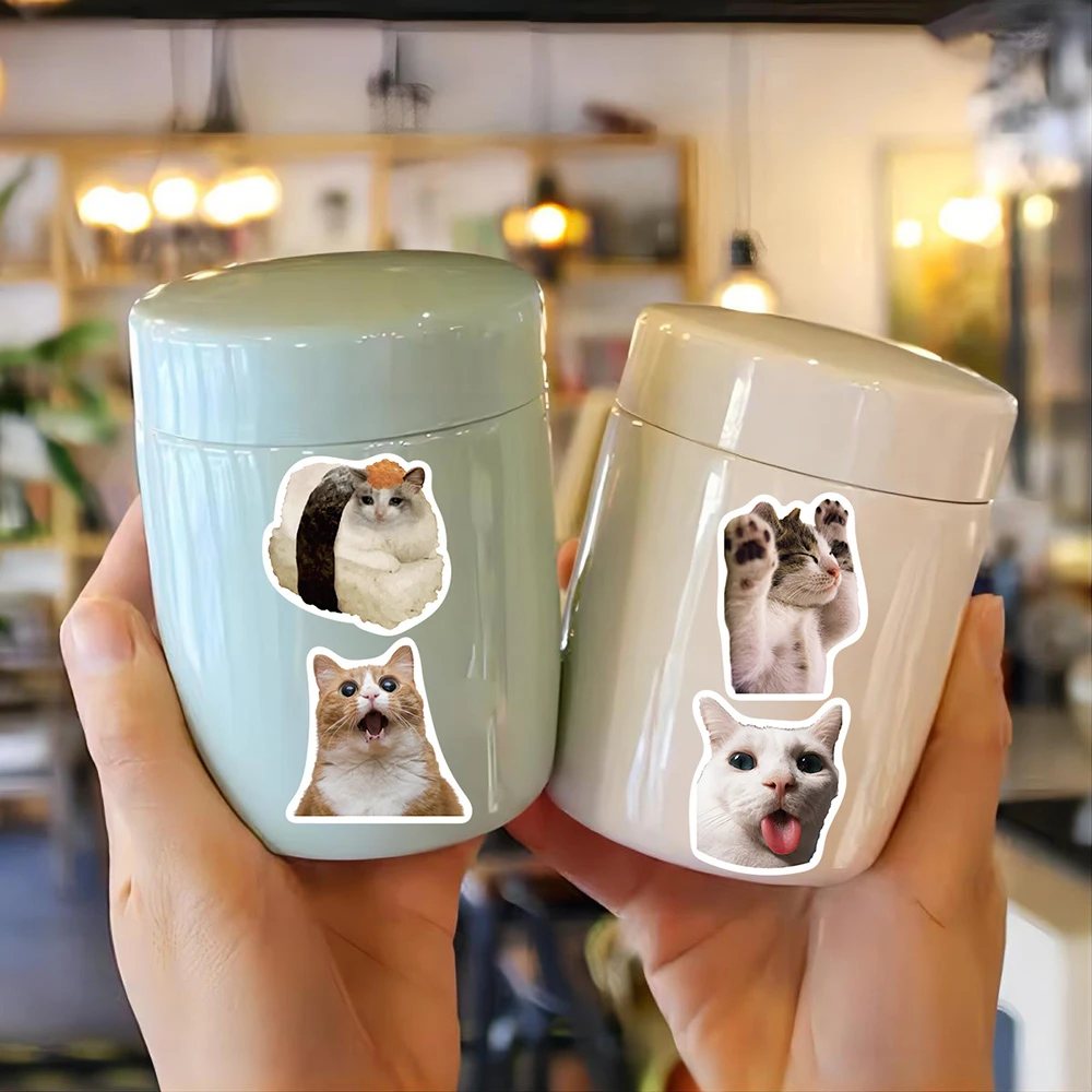 10/30/50PCS Cute Cat Meme Funny Stickers Aesthetic DIY Skateboard Laptop Helmet Phone Luggage Car Decal Graffiti Sticker Gift