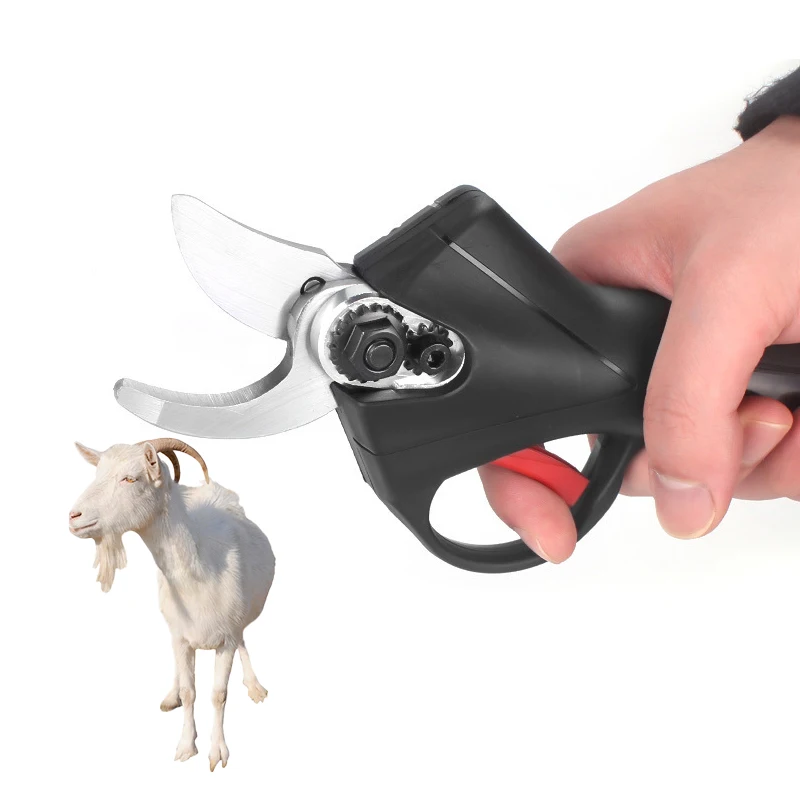 Pinza per cesoie per zoccoli di pecora nera a prezzo intero per taglia zoccoli affilati con batteria Li per capra e bestiame