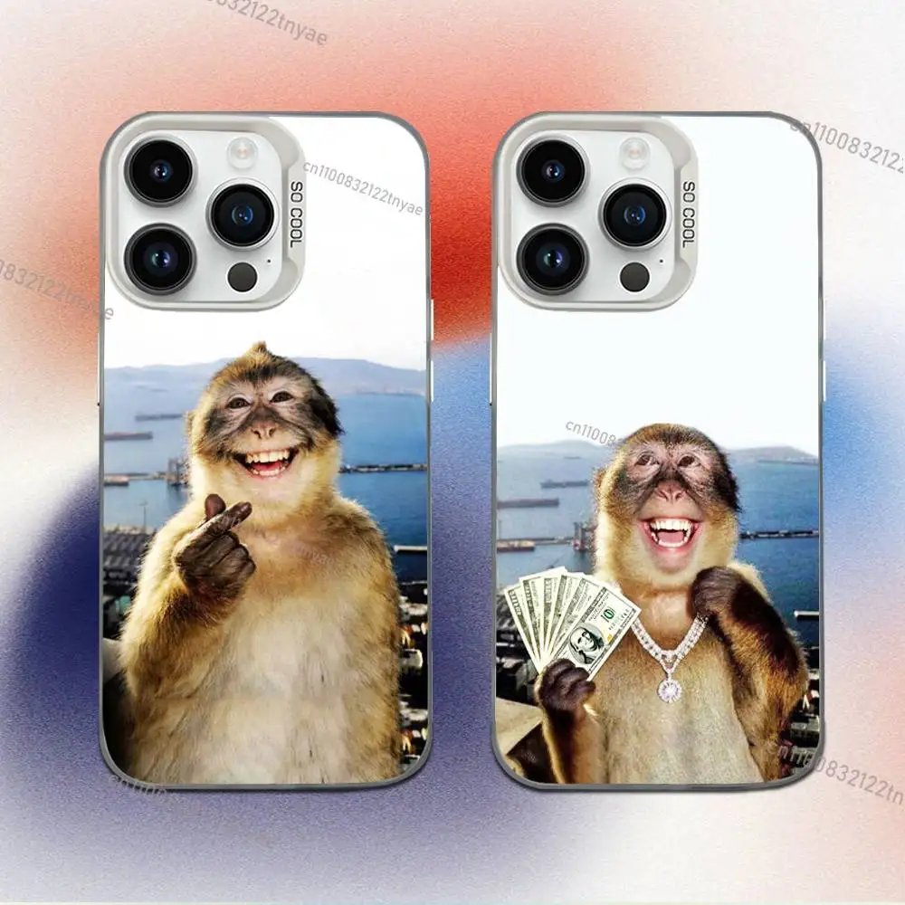 

New Creative Monkey Pattern Phone Case For iPhone 17,16,15,14,13,12,11,Mini,Pro,E,MAX White Candy Matte Shockproof Cover