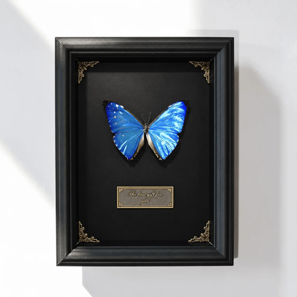 Real Morpho Zephyritis Specimen in Shadow Box, Preserved Butterfly Taxidermy, Insect Wall Art for Gothic Decor & Collector Gifts