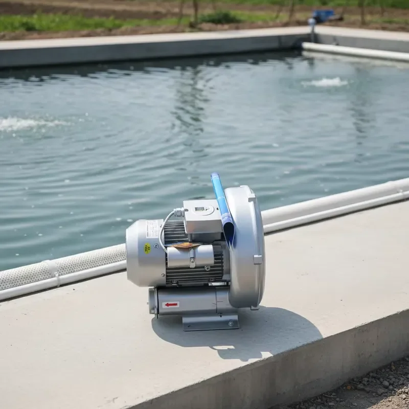 Hot Selling 220V 1.1kW Industrial High Pressure Side Channel Ring Blower air Vacuum Blower for Fish &Shrimp Breeding