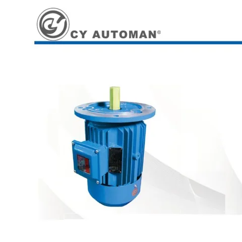 CY Automan 비 가변 주파수 브레이크 엔진 출력 0.37kW 0.25kW 초고효율 3 상 모터, 모델: YE3-71M2-4
