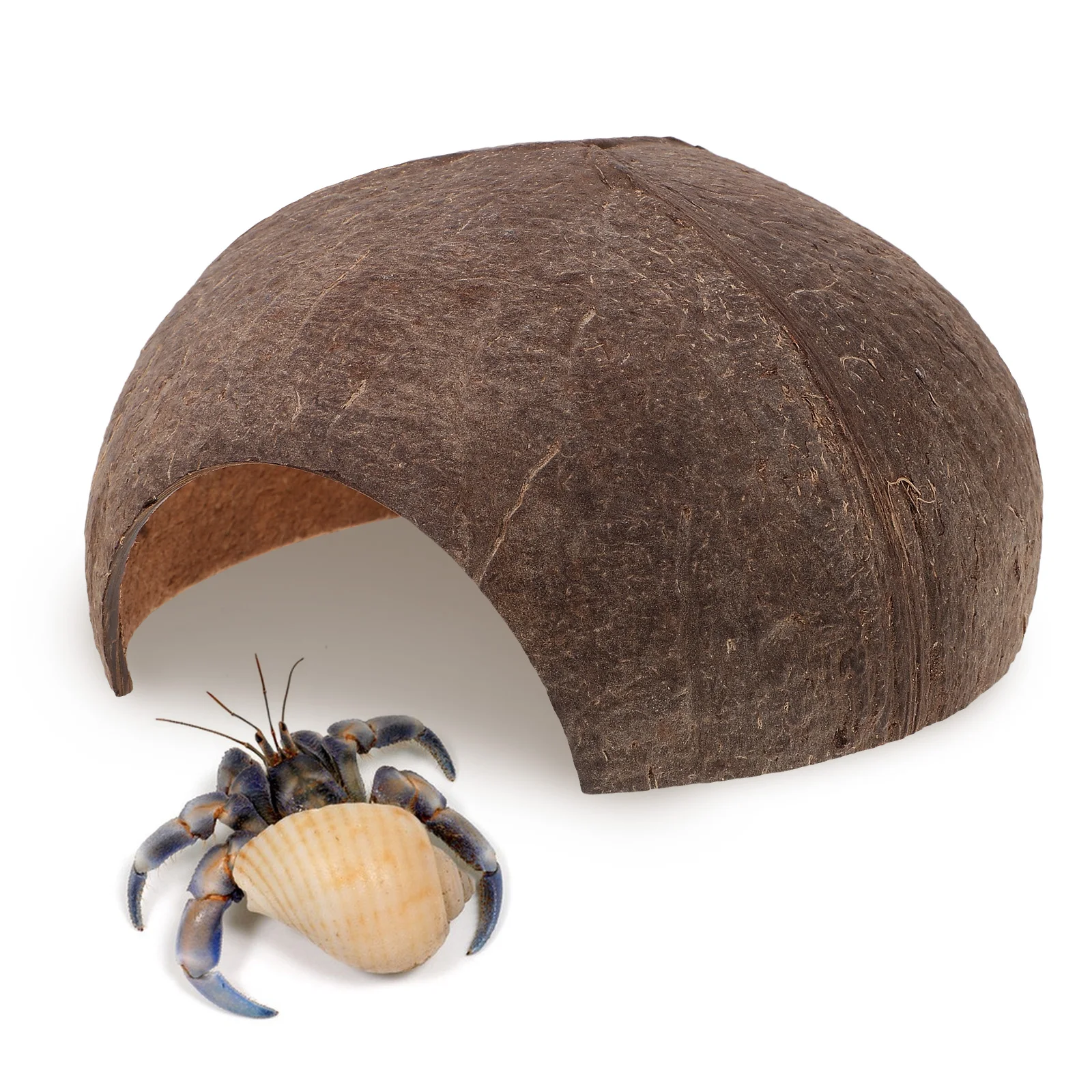

Coconut Shell Shelter Reptile Hiding Place Lifelike Design Safe Basking Platform Turtle Leopard Gecko Accessories Bearded Dragon