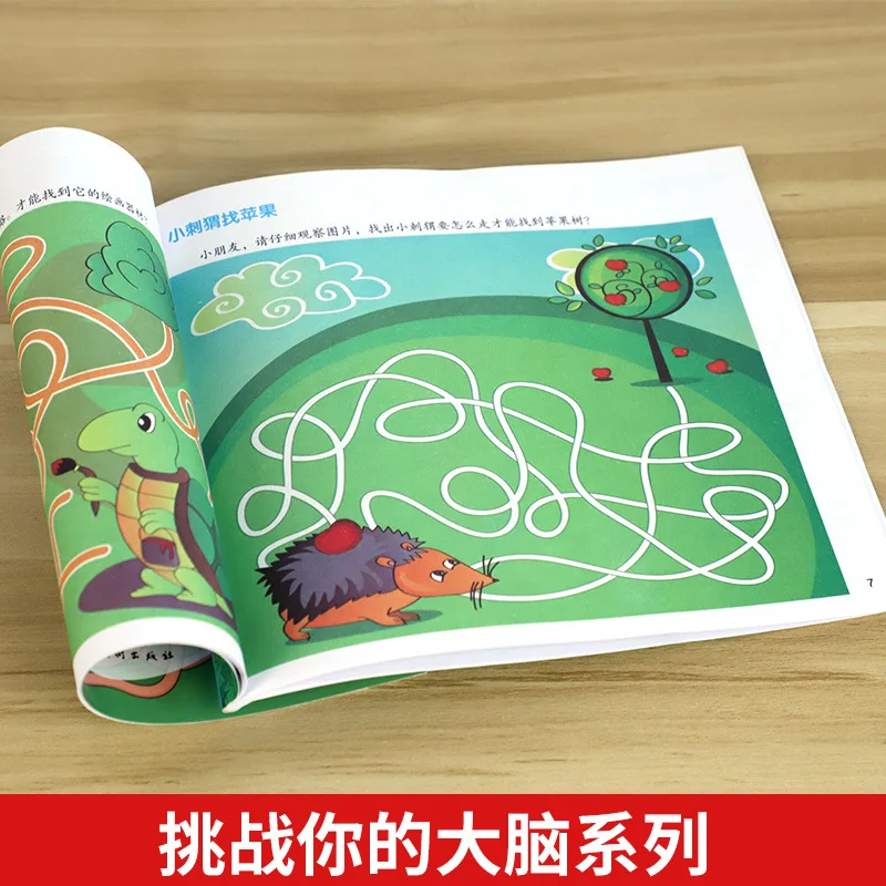 Maze Adventure Drawing Hide and Seek Challenge Intelligence Game Book Find Different