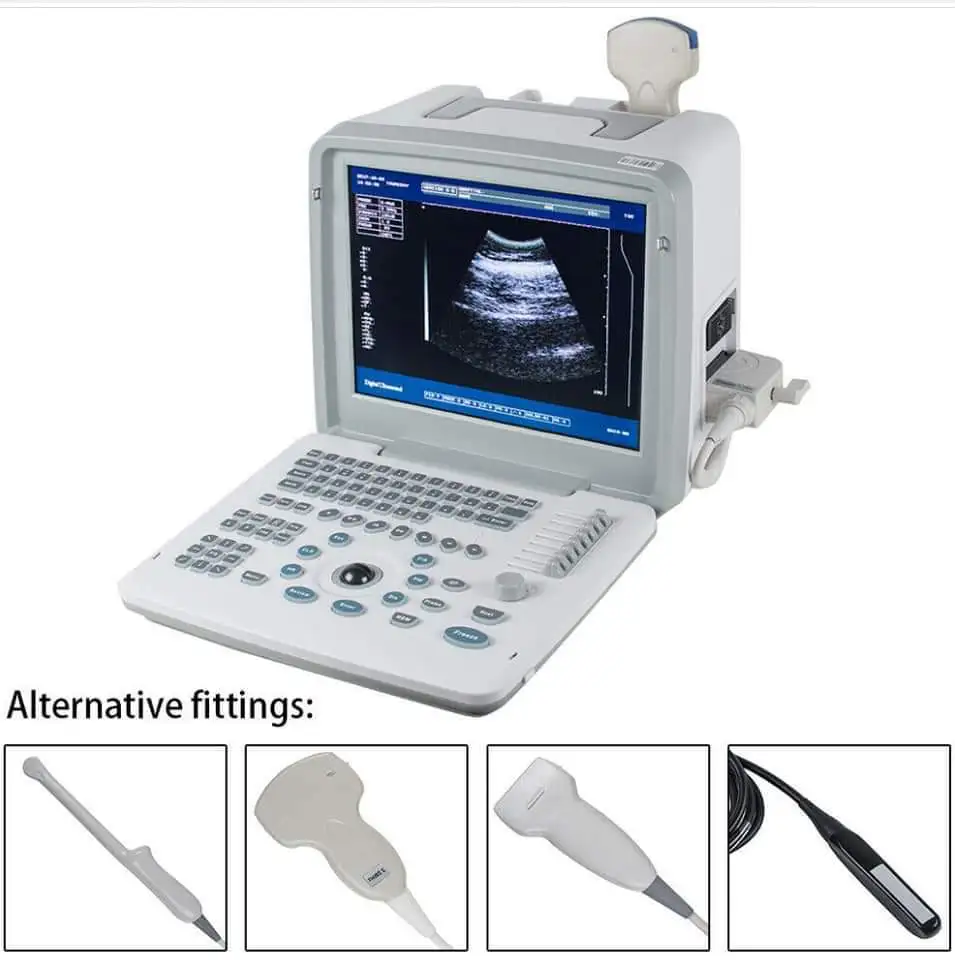 Basic BW XF300 Full Digital LED Medical Hd Ultrasound Portable Machine