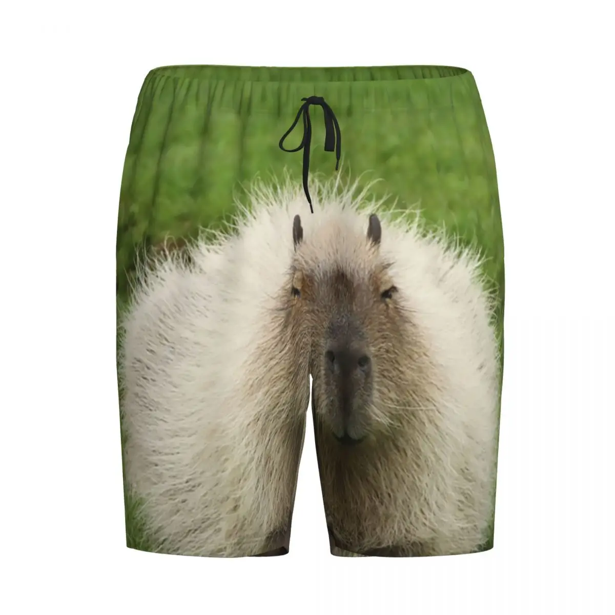 Custom Animal Pet Capybaras pigiama Shorts Sleepwear uomo elastico in vita Animal Pet Sleep Lounge Short Pjs con tasche