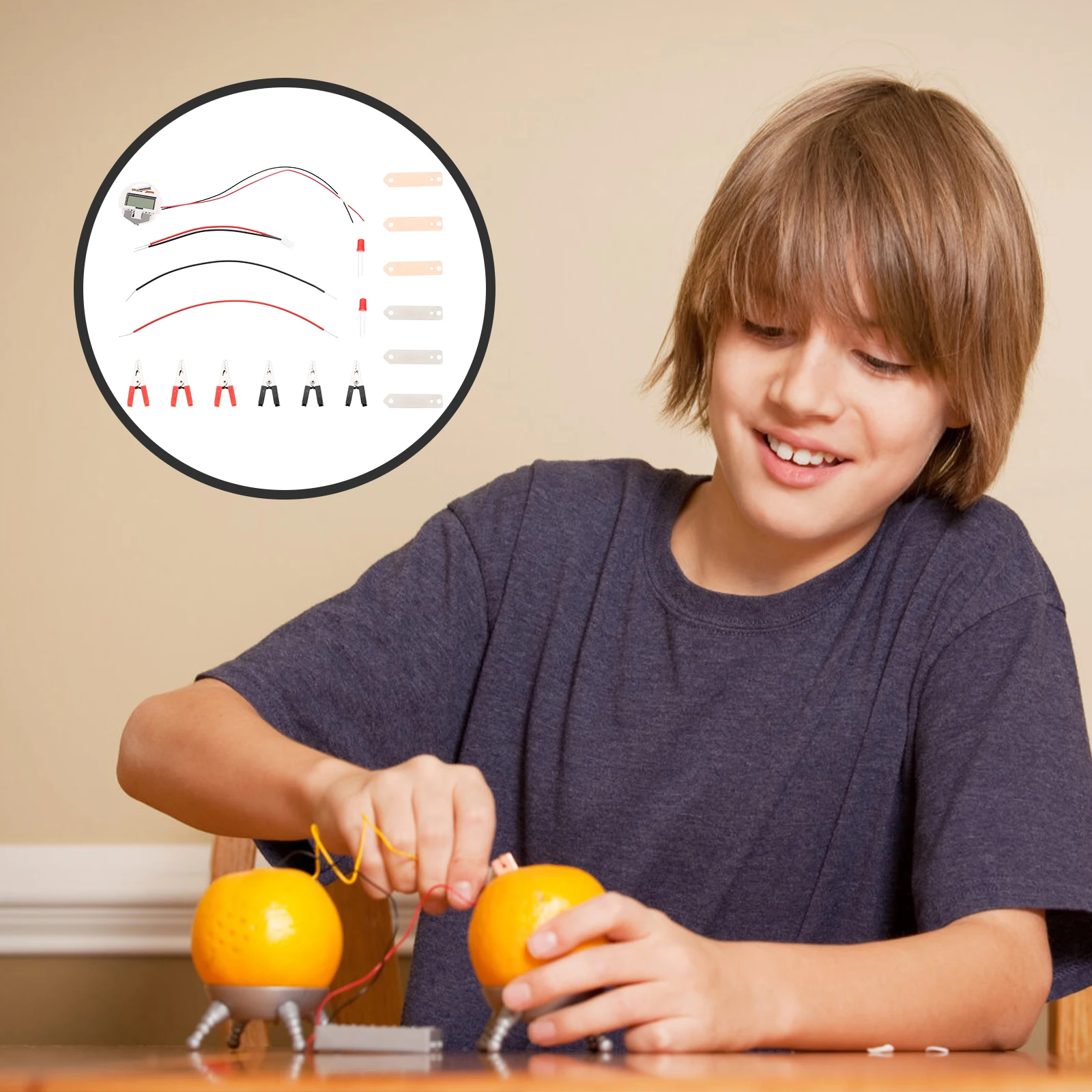 

2 Sets Fruit Kits Power Generation Experiment Children's Science for Kids Fruits
