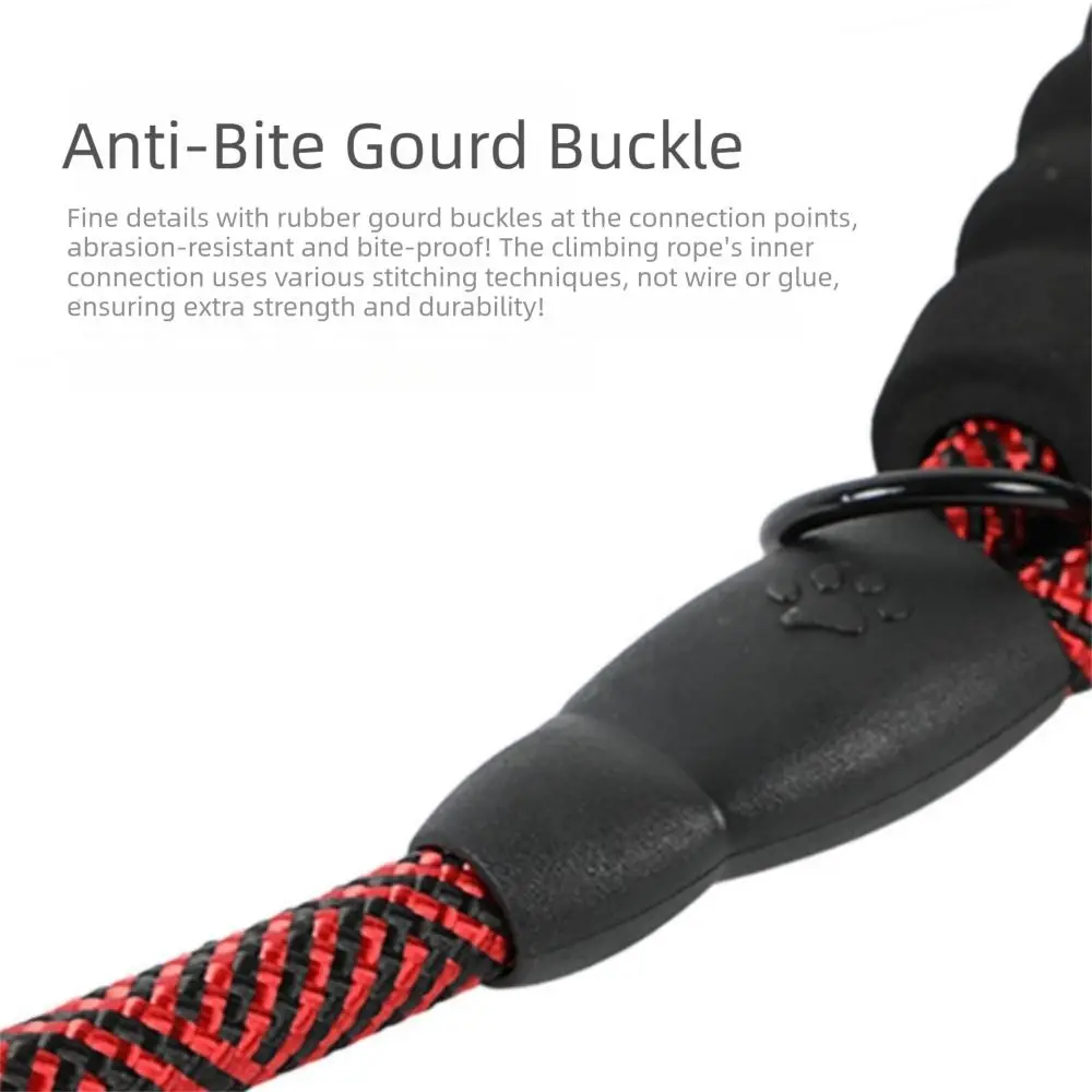 

Polypropylene Pet Leash 12mm*180cm Enhanced Safety Dog Walking Leash Comfortable Grip Dog Training Leash Outdoor Activities