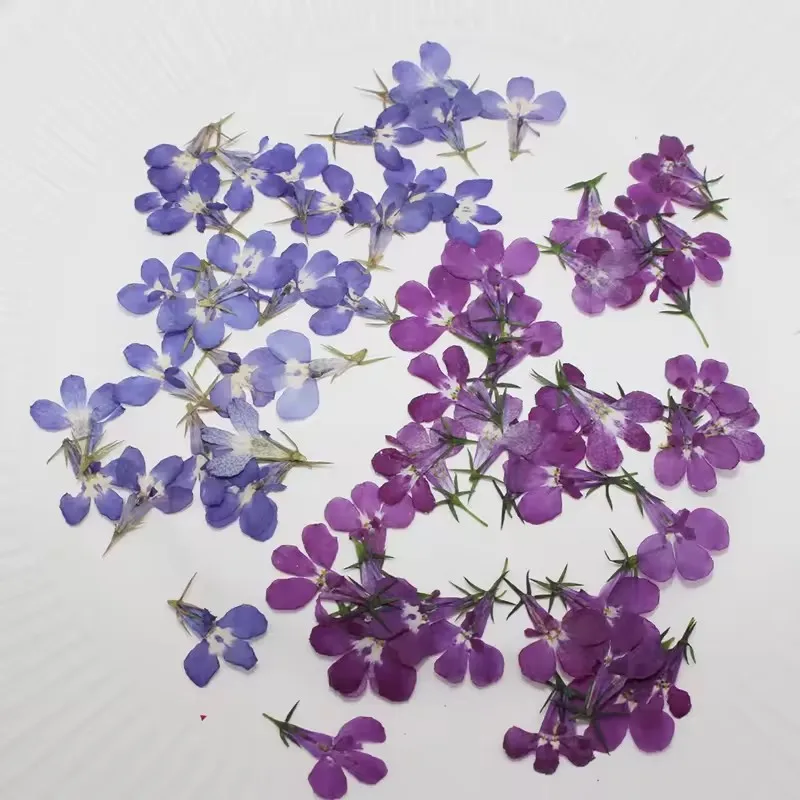 120 Stück/1,5 cm, natürliche kleine Blumen-Tropfen-Kleberaufkleber für Handyhüllen, Lesezeichen, Fotorahmen, Dekoration, Schönheits- und Nagelverzierungsmaterial, Herbstdeko – Detail 4