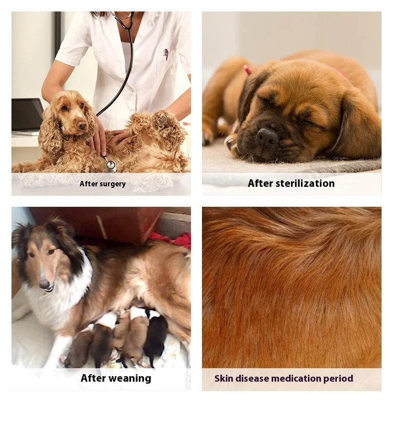 Dog Sterilization Suit, Post-Operative Dog Suit, Breathable and Anti-Licking Clothes, Post-sterilization