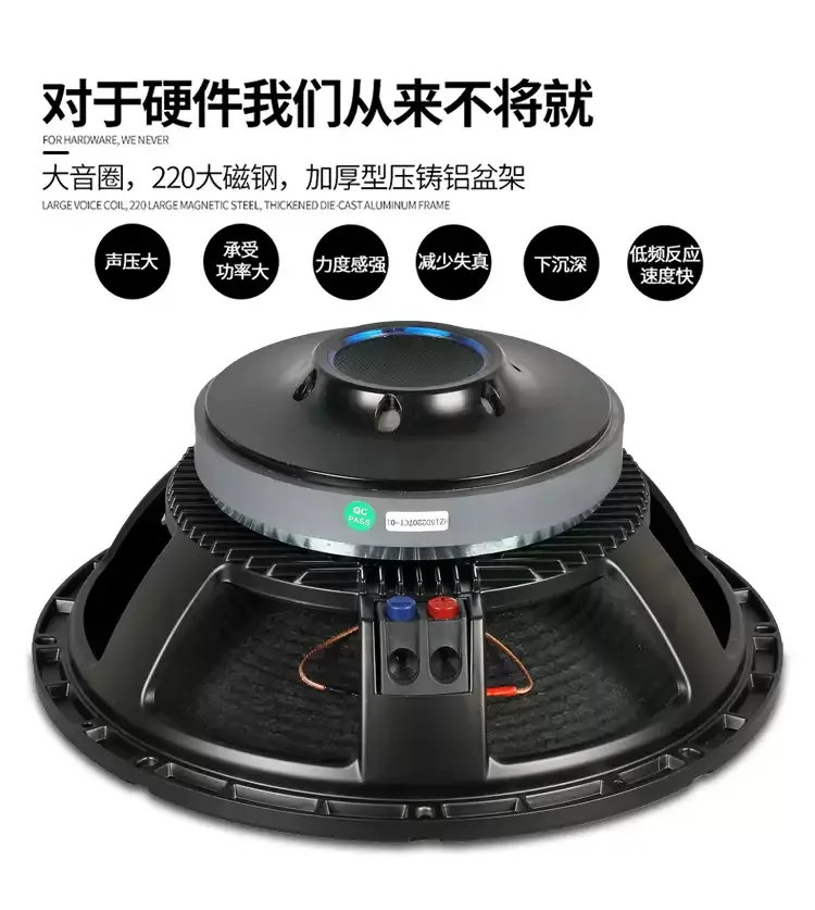 مضخم صوت كامل التردد 15 بوصة 220 مغناطيسي 100 كور 700 وات عالي الطاقة لأداء المسرح مكبر صوت KTV خارجي لحفلات الزفاف