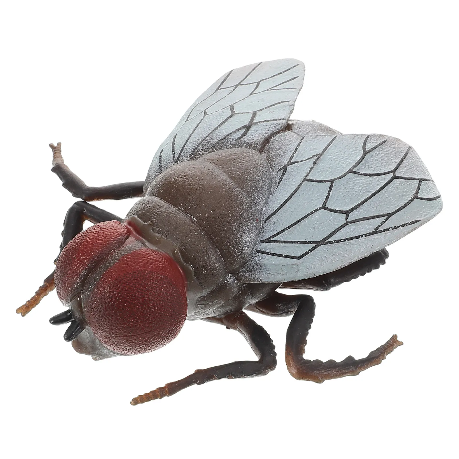 

Educational Realistic Fly for Child Cognitive Play Insect Awareness Prank Novelty April Fool's Day Halloween Party Favor Decor