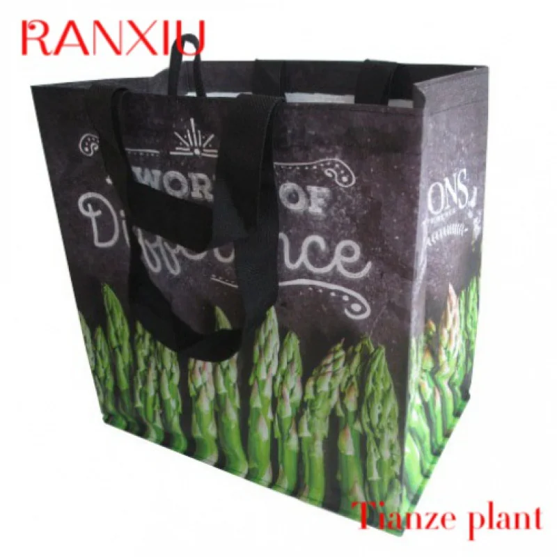 Custom KD0805-05 Vietnam PP Woven With Loop, Double Handles- Veggies Printed Reusable Customize Logo Shopping Bag