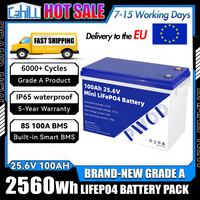 Brand New 24V 100Ah Lifepo4 Battery Pack Built-in BMS Grade A 25.6V Lithium Iron Phosphate Cell DIY 48V For RV Camping Solar Van