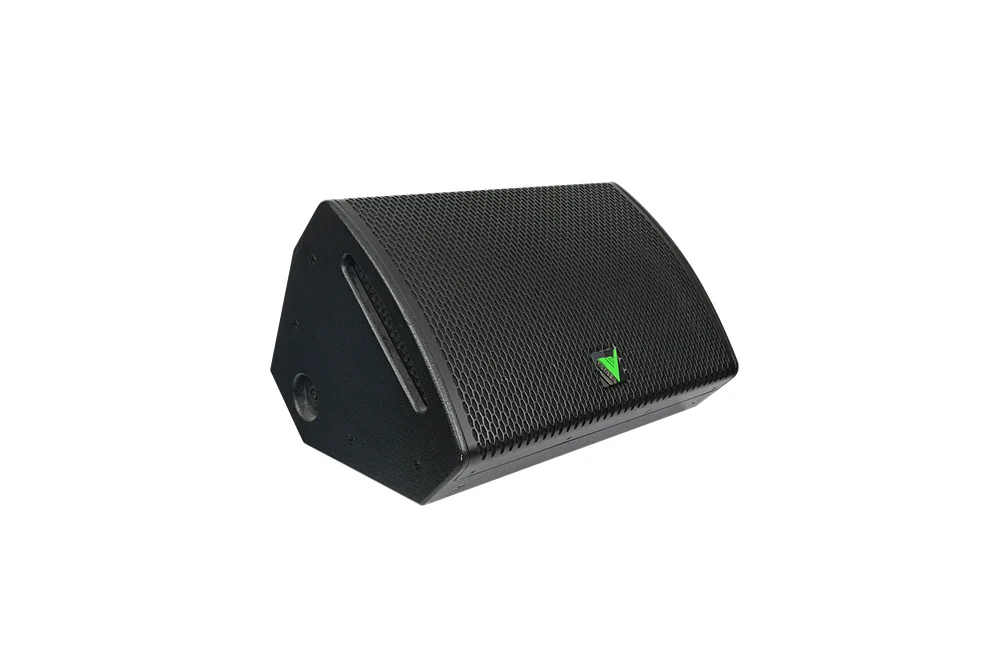 Two-Way Stage Speaker With 12 Inch Woofer And DSP Optimization