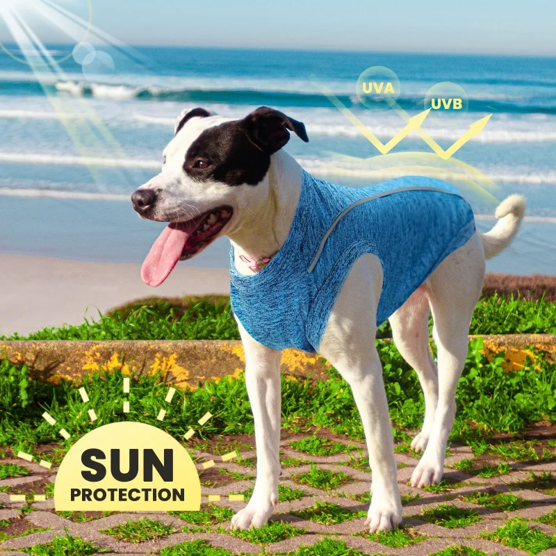 Chaleco fino de verano para perros, reflectante, sin mangas, ropa transpirable para cachorros, camiseta de lujo para gatos, chaleco de protección solar para mascotas, jersey para perros_voghion.com