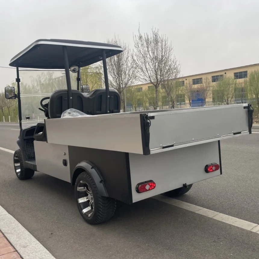 

60V/72V Lithium Battery Golf Buggy Electric Scooter 2 Passenger Electric Golf Cart Electric Cargo Cart With Rear Cargo Box