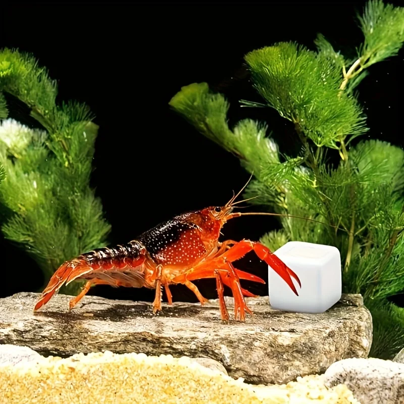 6 adet Sürüngen Taşlama Kaplum - Calcium Powder Reptile incelemesi ve fiyatı
