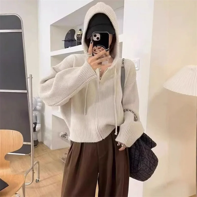 

Теплый свитер с капюшоном Design Sense, куртка-кардиган, женский свободный осенний новый короткий темпераментный вязаный свитер, модные топы 2025