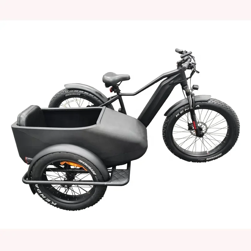 Side Car Fat For Pedelec/250w Side E Bicycle/500w Sidecar Electric Bicycle/ Vintage Sidecar E Bike/750w Retro Kid Delivery Trike