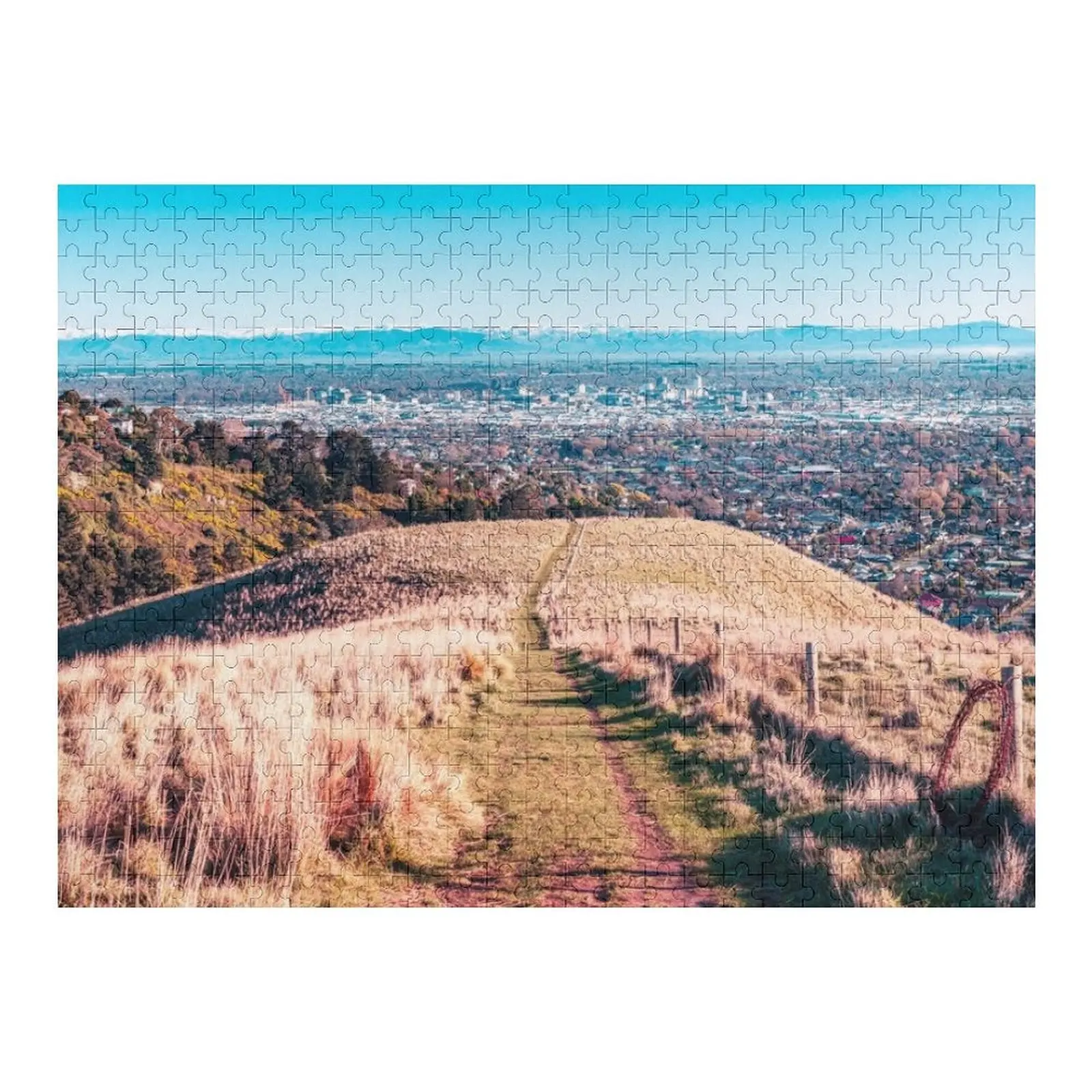 시티 랜드스케이프 뉴질랜드 직소 퍼즐 게임 어린이용 나무 이름 퍼즐