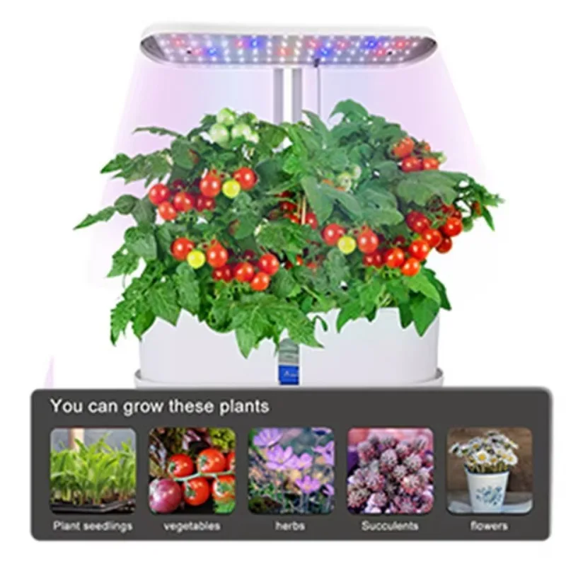 Grow Box Indoor Herb Vegetables and Fruit at Home Automatic Timer Height Adjustable Hydroponic Growing Systems