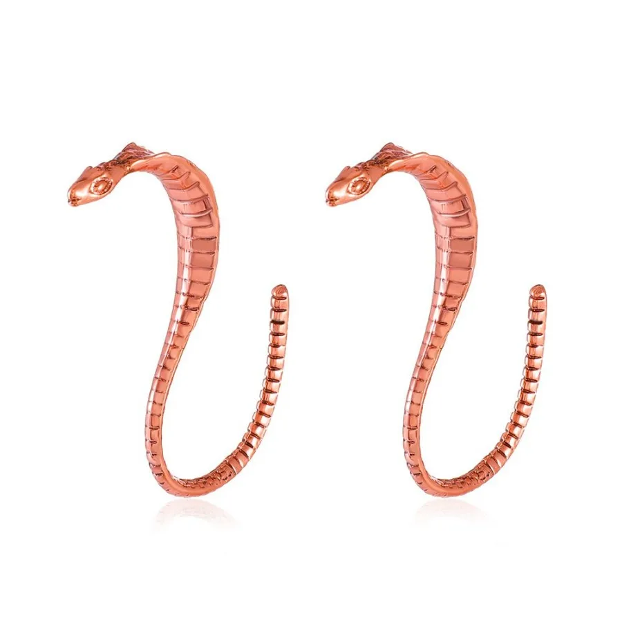 

Antique Metal Snakeshaped Earrings In Europe And America