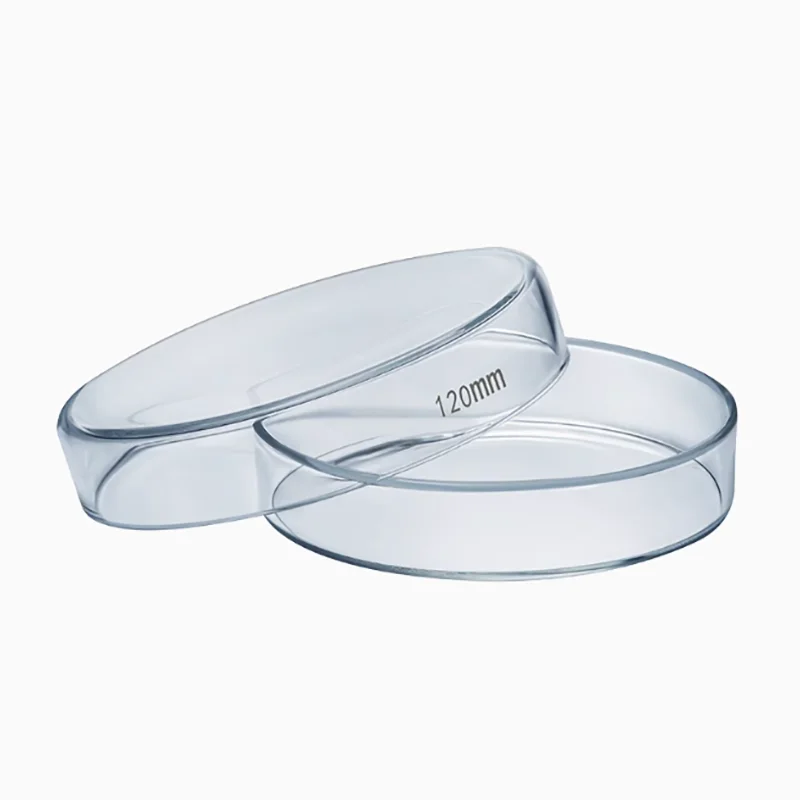 5PCS Glass Petri dish round diameter 60/75/90/100/120/150/200mml cell bacterial Petri dish with high temperature resistance