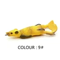 Color H