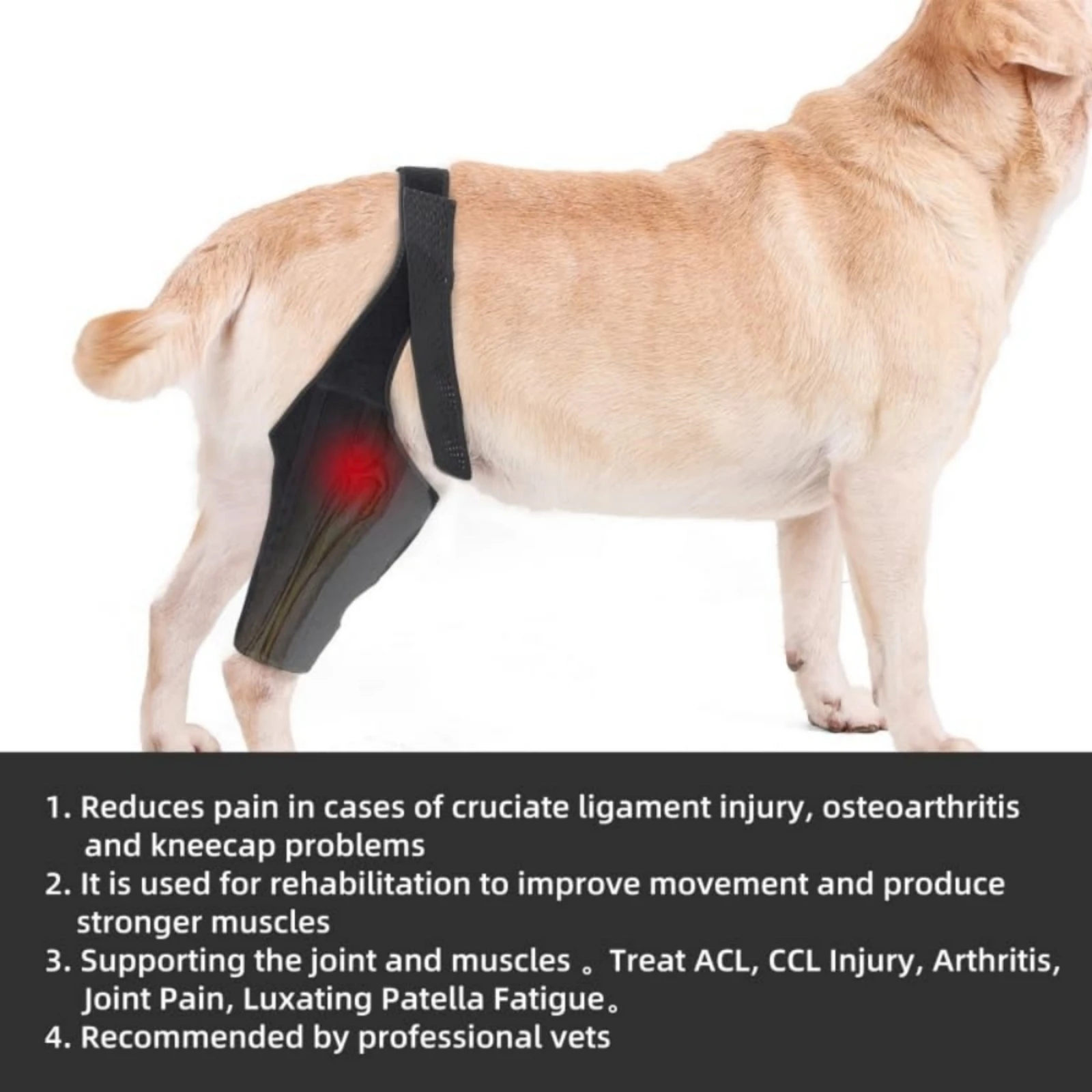 Dog Knee Brace Supportive Leg Braces For Back Leg Torn Acl Hind Leg Effective Relief For Dogs Enhance Mobility And Comfort Durab