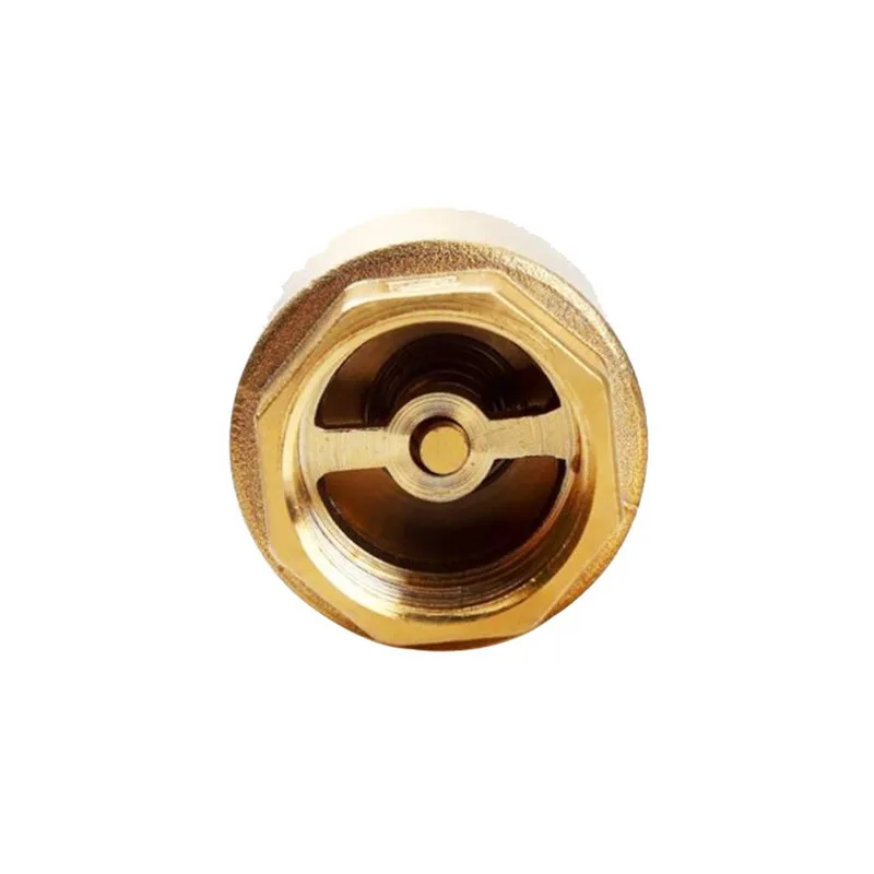 1pcs Brass Thread In-Line Spring Check Valve for Water Control Check Valve Water Pump Valve DN15 DN20 DN25 DN32 DN40 DN50