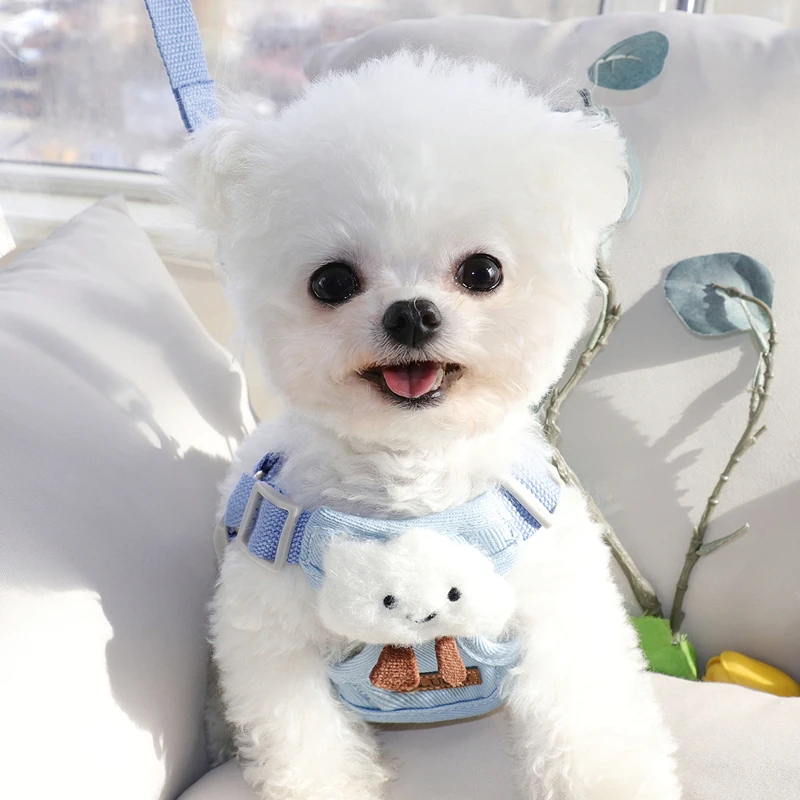 

Puppy Leash Vest Pet Chest Harness Dog Walking Leash Teddy Small Dog Outdoor Dog Leash Pet Accessories