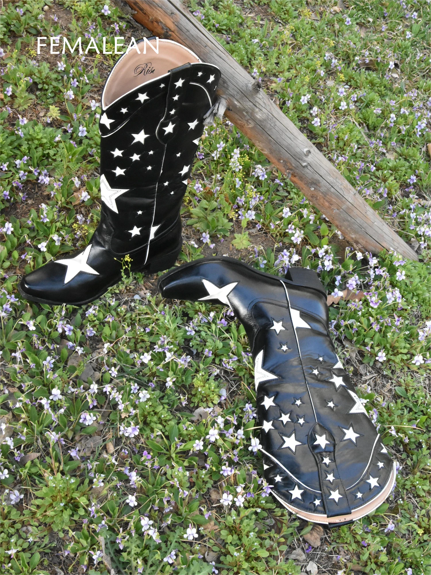 FEMALEAN 2024 Western Cowboy Boots Star Pointed Toe Women Designer Brands Heels Black Y2k Country Texana Boots