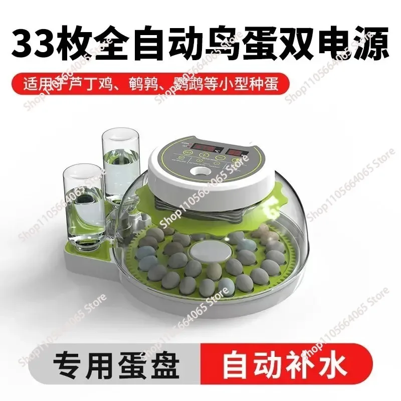 Incubator small automatic intelligent rutin chicken parrot bird egg   for home use 1pcs