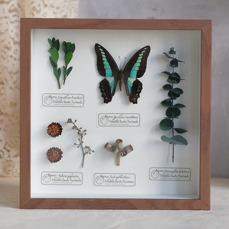 

2098 3D Dried Flower Frame Ornament, Original Handmade, Butterfly Specimen, Plant Specimen, Table Decoration, Creative Gift