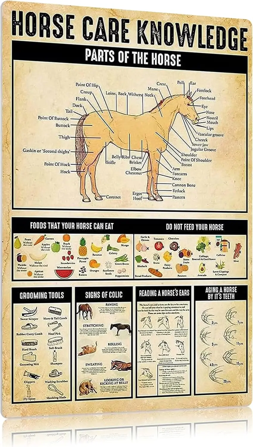 Horse Care Knowledg… - image