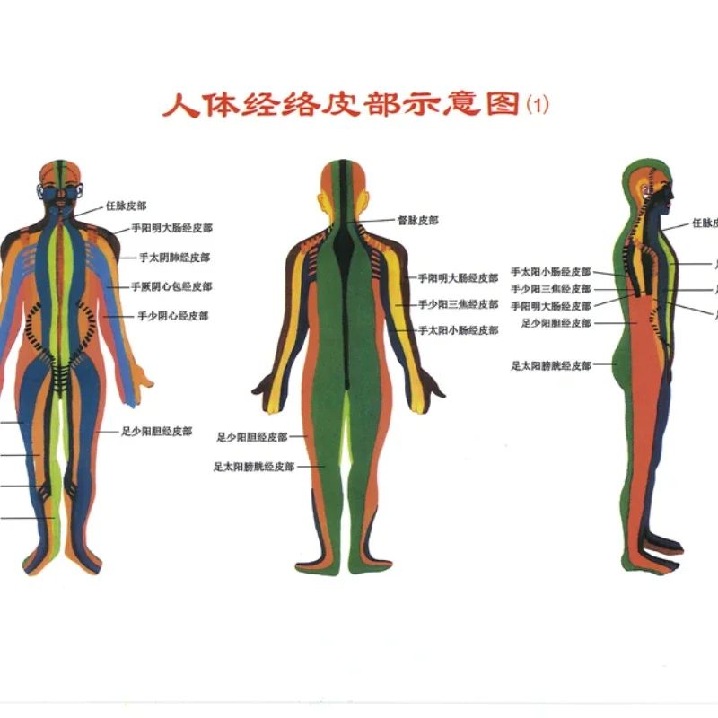中国医学磁気治療カッピング装置のフラットヘッド気と血液トング特殊なタンク27缶アルミ合金ハードカバー