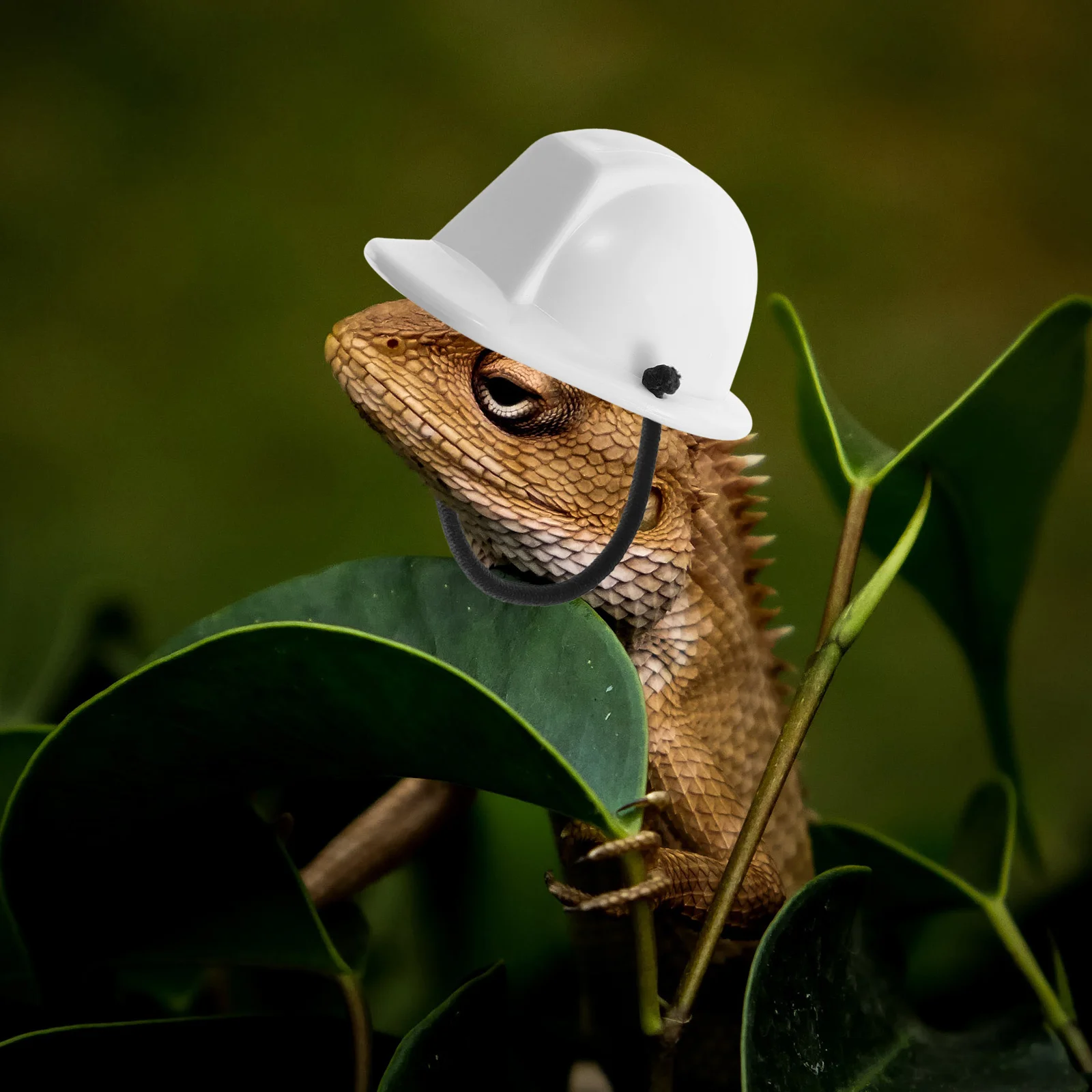 

Mini Safety Hat White Plastic for Lizard Small Pet Head Decor Chin Straps Reptile Cosplay Crawl Pet Festival nament
