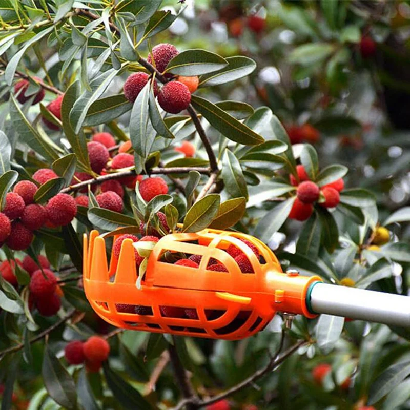 High-altitude fruit picker Head Without Pole Metal/Plastic Fruit Collector Harvest Picking Apple Citrus Pear Garden Hand tools