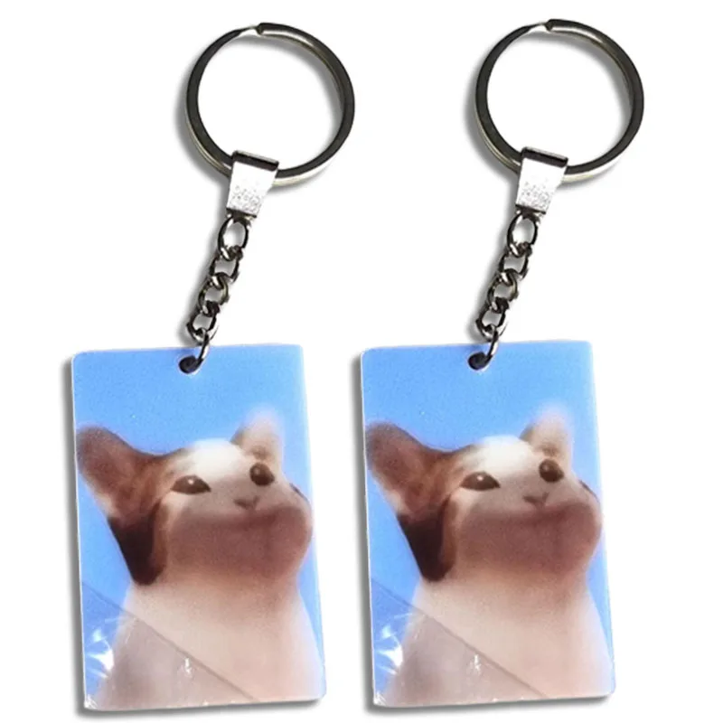 Changeable Cartoon Cat Keychain Acrylic Dynamic Animal Pendant Photo Flash Transparent Charm Personality Holographic Key Chains