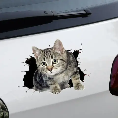 8 best sales car stickers to cover scratches - №2