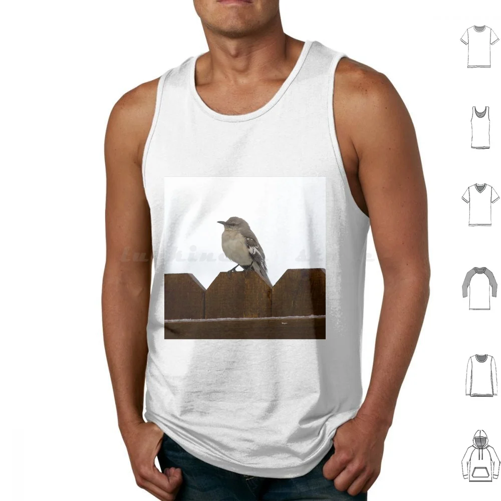 

Sparrow On A Fence Tank Tops Print Cotton Sparrow Bird Fence Sparrow Fence Brown Bird Brown Winter Bird Winter Sparrows