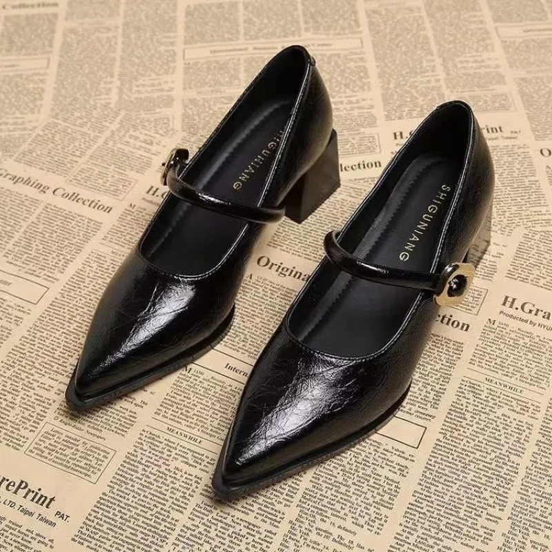 2025 Premium Leather Mary Janes - French Vintage Pointed Toe Pumps Chunky Heel Single Strap Shoes Buckle Decor