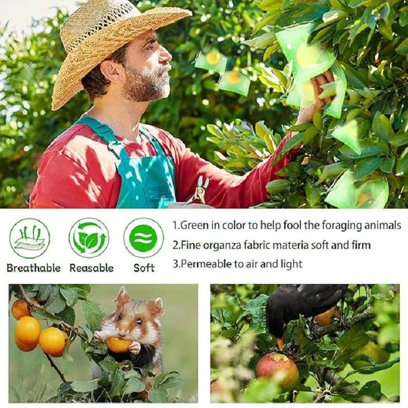 Sacs de protection des plantes et des fruits, filet de culture, contrôle de la croissance des plantes, sacs à ficelle de proximité de jardinage, filet anti-oiseaux, outil de jardin, 50 pièces