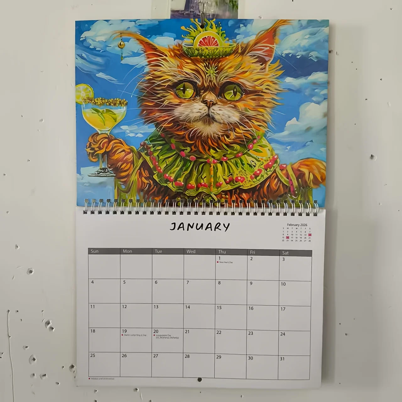 Calendario per gatti potabili 2026 Calendario creativo da appendere per gatti strani, pianificatore di 12 mesi con colori vivaci, perfetto per la casa e l'ufficio
