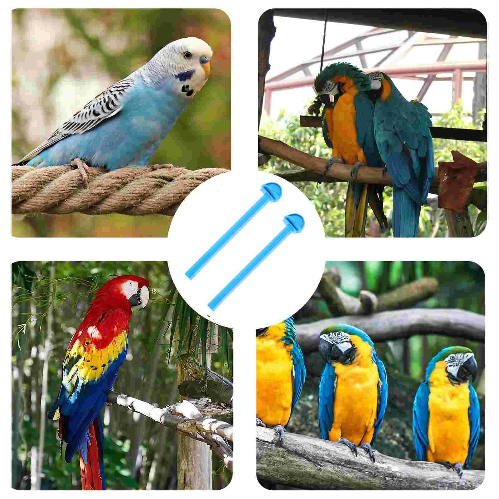 

10 Pcs Parrot Play Stand Bird Plastic Pole Birdie Perch Grinding Stick Cage Holder