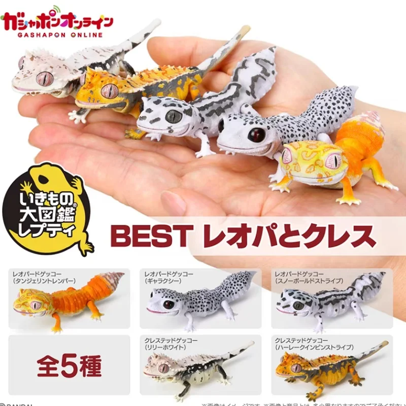 New Bandai Original The Diverysity Of Life On Earth Giant Simulation Gecko Lizard Best Leopard Geckos Anime Action Figure Gift