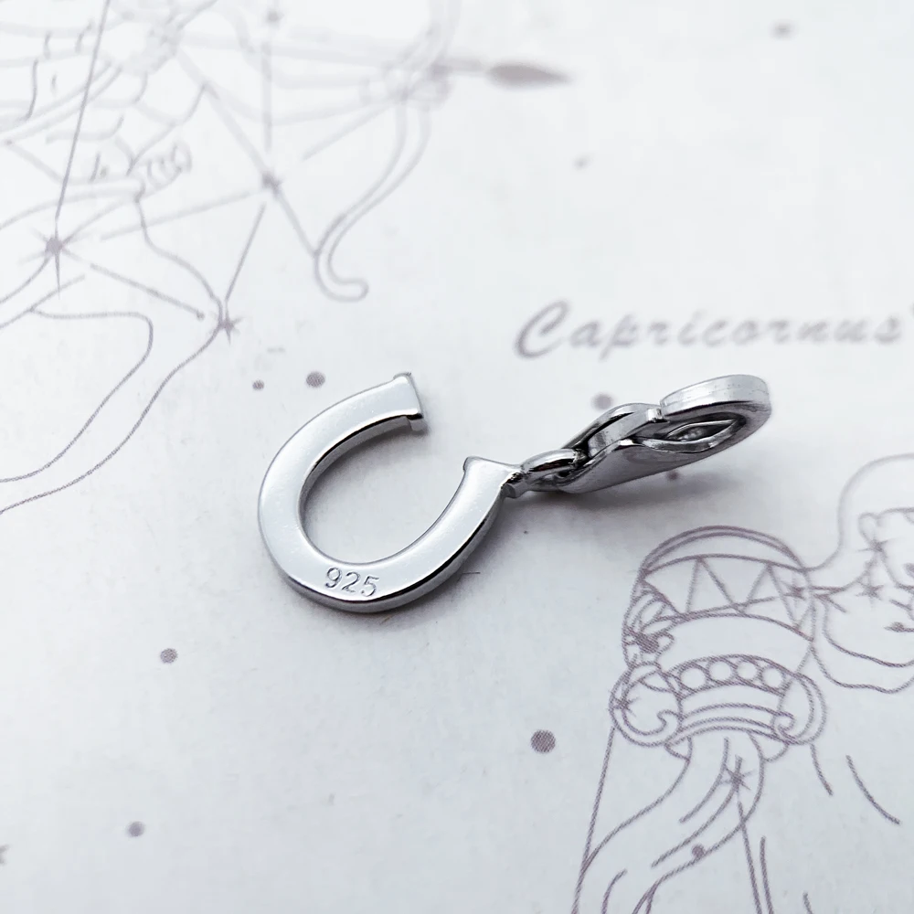 Colgante de herradura para hombres y mujeres, joyería de moda de la suerte de Plata de Ley 925 para primavera