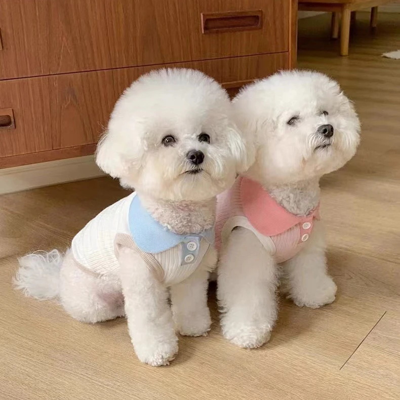 얇은 개 고양이 반려동물 옷깃 티셔츠, 귀여운 대비 탱크 탑, 테디 베어, 포메라니안, 작은 개 고양이 옷, 개 쿨링 조끼, 여름